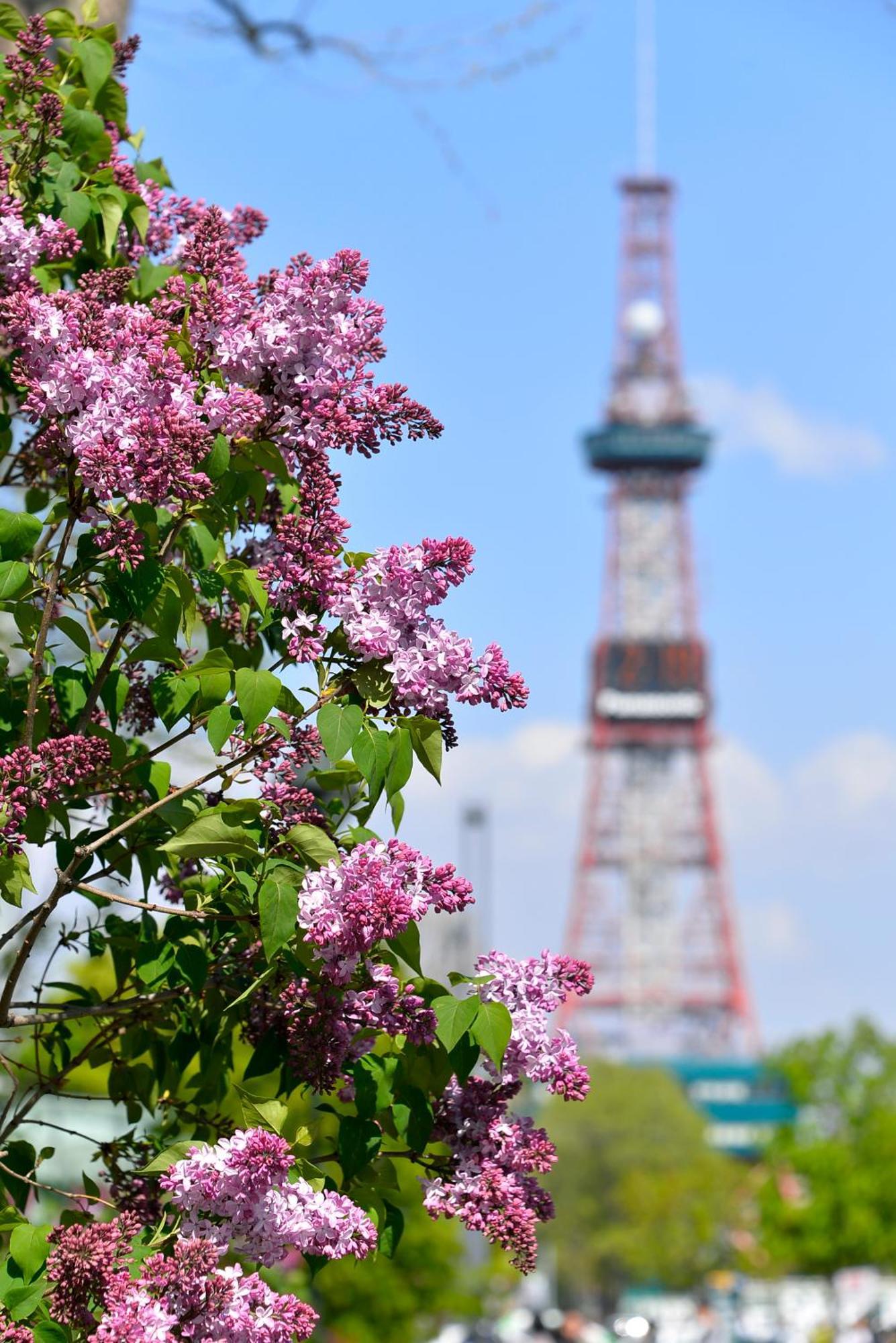 貸切3階建て Pon Yama Sapporo Villa Kültér fotó